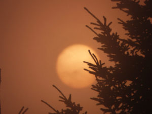 北海道ソロキャンプの旅その12 キャンプ場は霧の朝