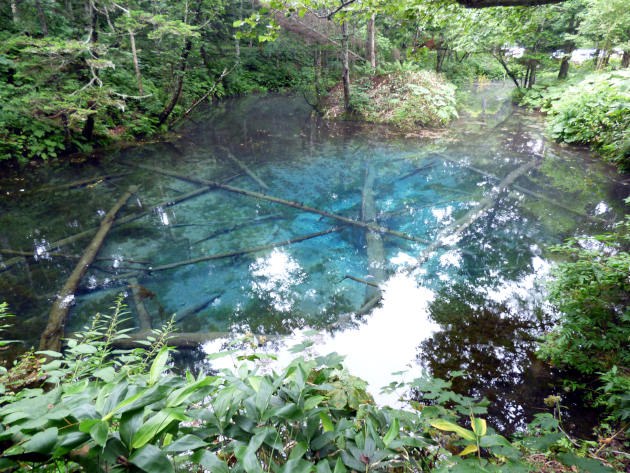 北海道ソロキャンプの旅その16　神の子池