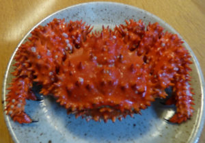 北海道ソロキャンプの旅その21 さよなら北海道(最終回)