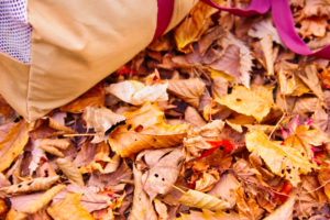 落ち葉の上にテントを設営して秋キャンプを楽しむ