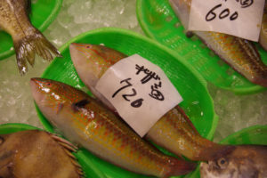 キュウセンベラが釣れたら食べる?