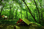 落ち葉の上にテントを設営して秋キャンプを楽しむ