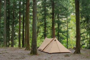 めいほうキャンプ場に電車を停める虫がいた