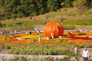 花フェスタ記念公園 「今年の秋はプレミアム♪」前編