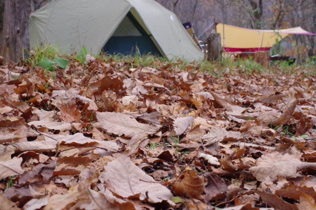 落ち葉の上でテントをはる