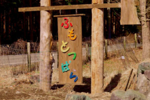 冬のふもとっぱらでしっぽり濡れた雨のソロキャンプ