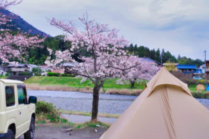粕川オートキャンプ場 雨と桜とソロキャンプ