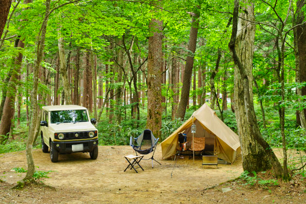 ひるがの高原キャンプ場で森林浴に癒されたソロキャンプ おっさんソロキャンプ道
