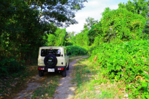 夏の終わりに2度目の野営へ 後編