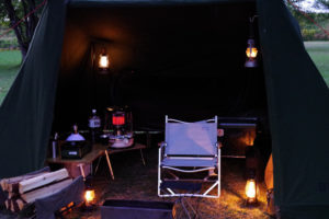 ブルームーンの夜と野鳥のさえずりが聞こえる朝 第一話