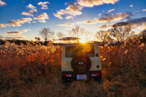 三日月の夜にオレンジに光る眼の正体を見たソロキャンプ 後編