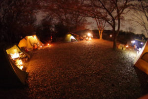 2020年ラストソロキャンプは野営地に集う