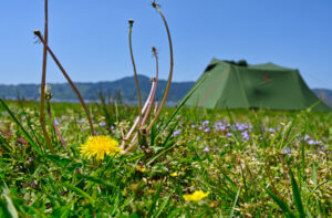 一年で一番気持ちよい春の湖畔でソロキャンプ 後編