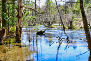 GWの平湯キャンプ場と絶景の上高地ハイキングを楽しむ 後編