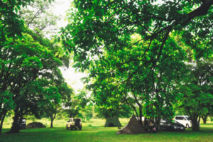 野営地とのお別れソロキャンプ 後編