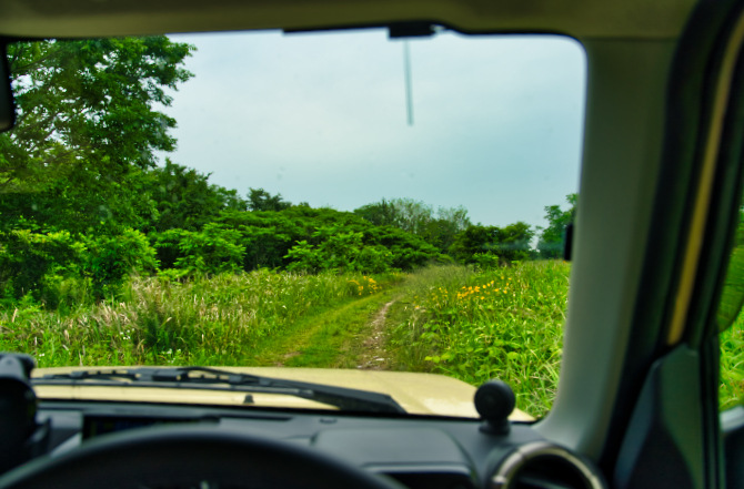 ジムニー運転