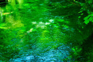 標高1300mの森の中で二人ソロキャンプ 中編