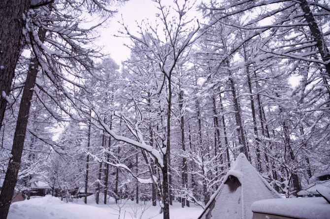 雪の積もるキャンプ場
