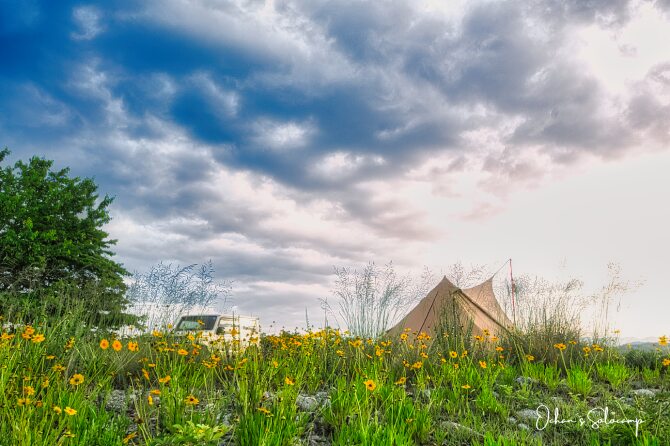 ５月の曇り空の下黄色い花の咲く野営地でソロキャンプをした