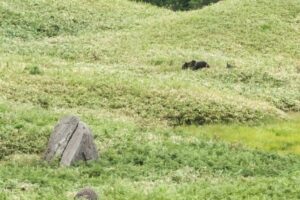 北海道ソロキャンプ旅2023 第四話 熊出没注意!!