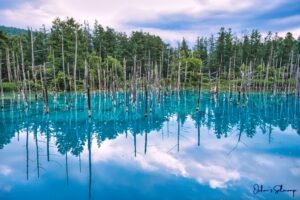 北海道ソロキャンプ旅2023 第七話 美瑛ブルー