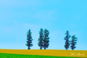 北海道ソロキャンプ旅2023 第九話 最終章