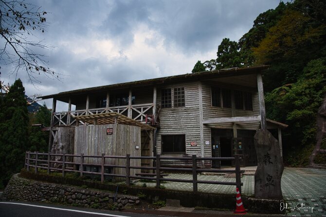 屋久杉ランドへ