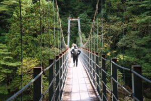 屋久島&九州ふたりキャンプ旅2023第三話 トレッキング前の休息