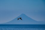 屋久島&九州ふたりキャンプ旅2023第八話 もりときランタン