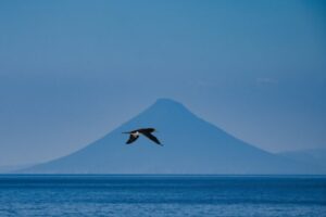 屋久島&九州ふたりキャンプ旅2023第八話 もりときランタン