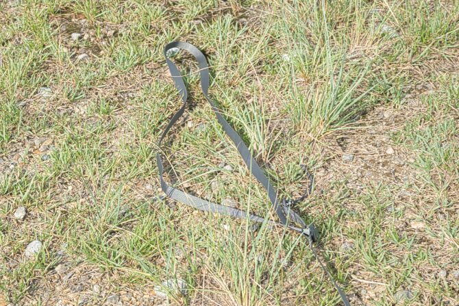 ベルト先端は輪っかに