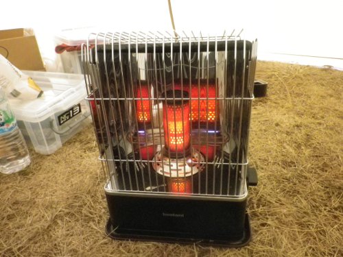 暖かいので「CB-STV-HPRの調子がいい