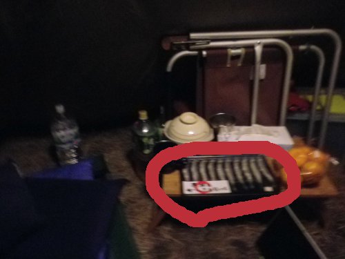 めざしで猫をおびき寄せる作戦