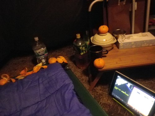 みかんの皮で寄せ付けない作戦