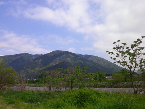 粕川オートキャンプ場から見た山の新緑