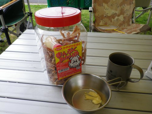 ささゆりの湯キャンプ場01あたりめ