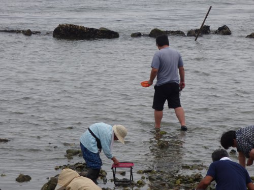 愛知県の南知多乙方海岸に家族で潮干狩りに行ってきました おっさんソロキャンプ道