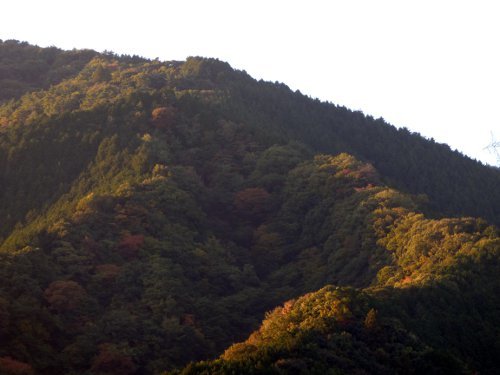 粕川30_日の当たる山