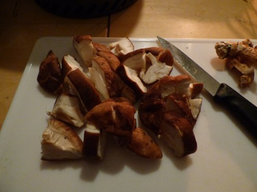 粕川33_しいたけ