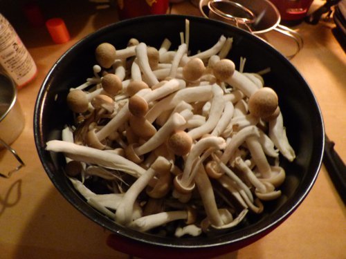 粕川33_キノコ汁煮る前