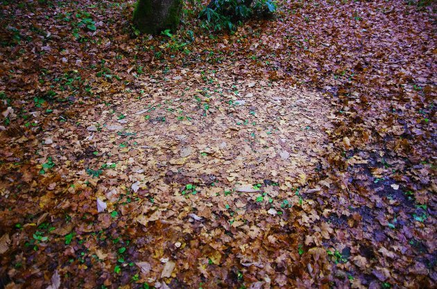 平湯02_テントの跡