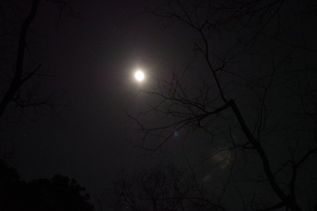 犬山01_夜の月