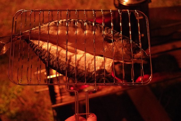 キャンプの夜に薪グリルラージと魚焼き網でサバの開きを美味しく焼くまで おっさんソロキャンプ道
